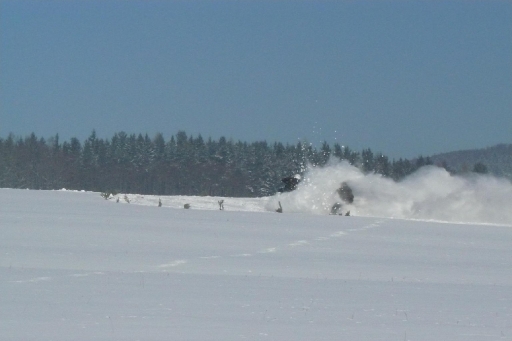 2012 Motoskijoring_6