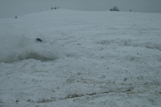 2013 Motoskijoring_19